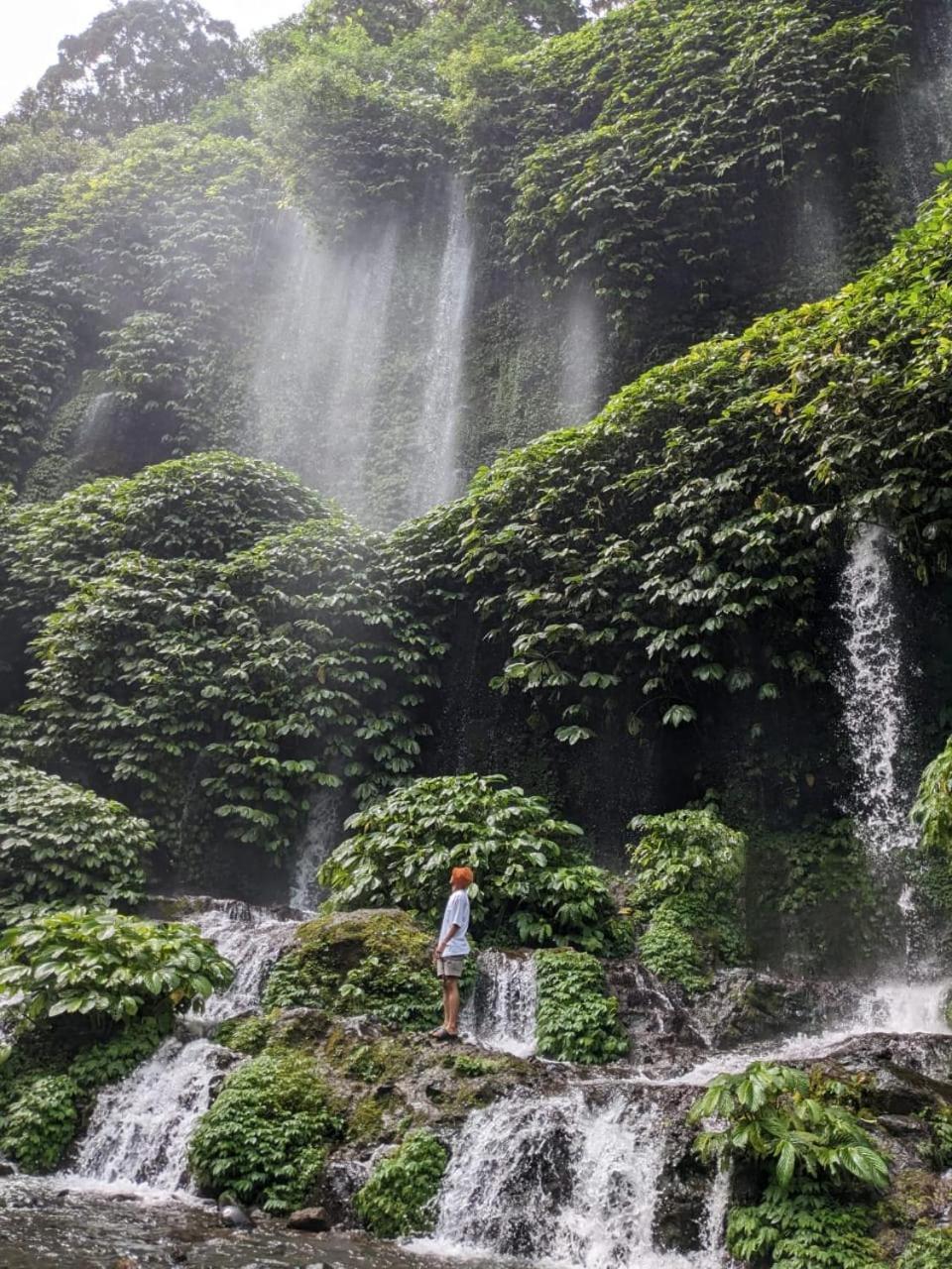 Vanilla Garden تيتيباتو المظهر الخارجي الصورة