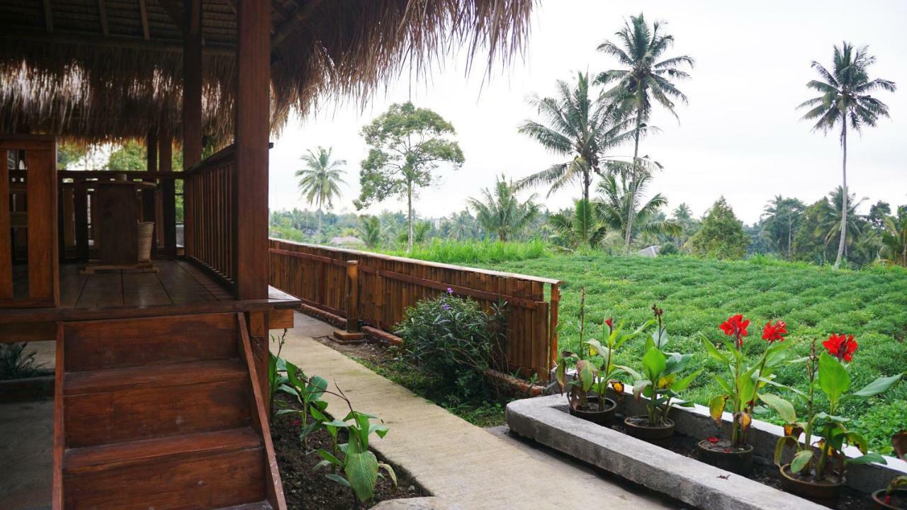 Vanilla Garden تيتيباتو المظهر الخارجي الصورة